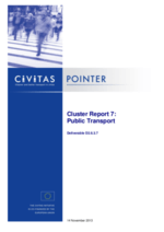 Cluster report 7 Public Transport