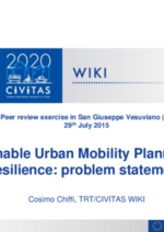 Sustainable Urban Mobility Planning and resilience: problem statement