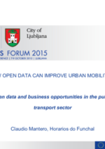 Open data and business opportunities in the public transport sector