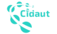 CIDAUT logo