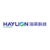 HAYLION LOGO