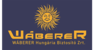 WABERER LOGO