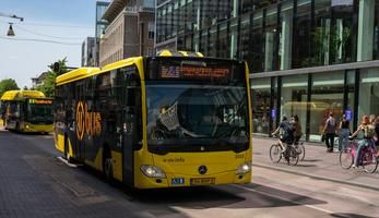 Bus & Cyclists in the Netherlands