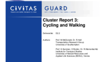 Final Cluster Report 03 Cycling and Walking