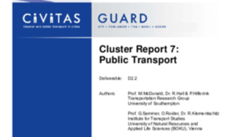 Final Cluster Report 07 Public Transport