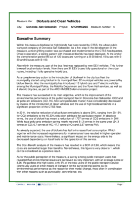 Evaluation Report: Biofuels and Clean Vehicles in DSS