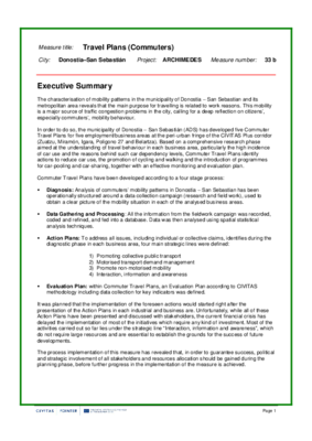 Evaluation Report: Travel Plans (Commuters) in DSS