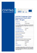 Bruges Deployment Plan (Replication & Deployment Programme)