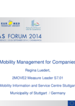 Mobility Management for Companies