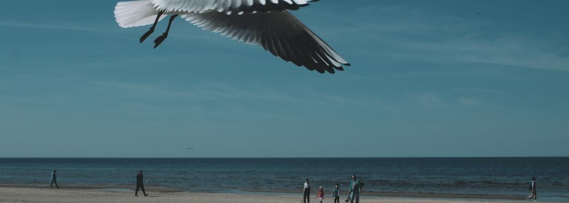 Jurmala