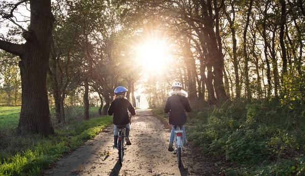 Two children biking along a forest path
