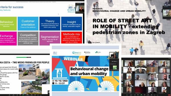 Collage of screenshots from the webinar.