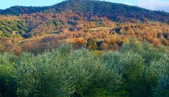 Farkadona Greece
