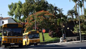 Buses