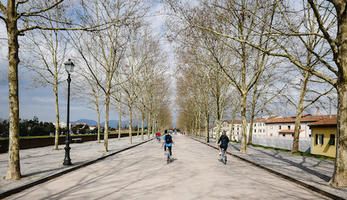 Biking over Lucca's city wall, Flickr creative commons