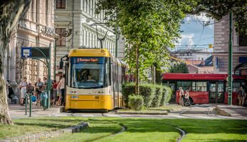 Public transportation and urban nature