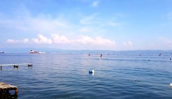 Tuzla Belediye Baskanligi
