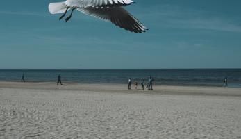 Jurmala