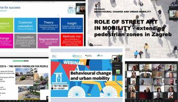 Collage of screenshots from the webinar.