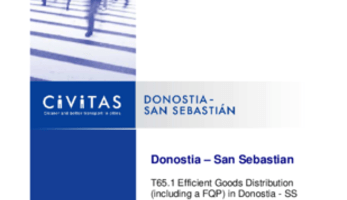 Efficient Goods Distribution (including a FQP) in Donostia - San Sebastian