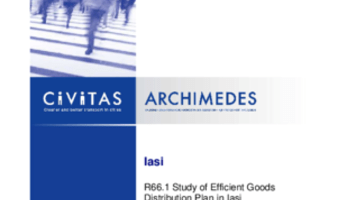 Study of Strategic Goods Distribution Plan in Iasi
