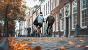 Delft