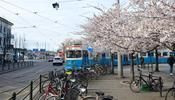 Tram in Gothenburg