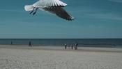 Jurmala