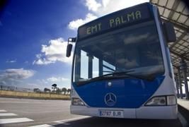 Palma bus 1