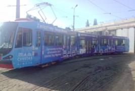 Mimosa tram