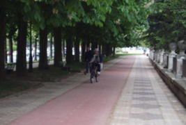 Increasing bicycle use in Burgos