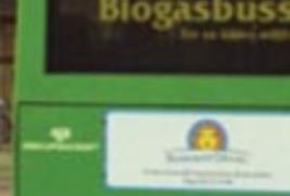 Analysis of the biogas