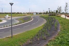 Implementation of Dedicated Bus Lanes
